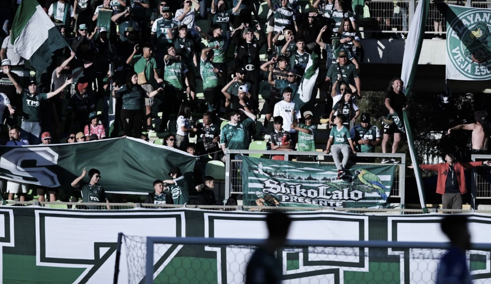 Curicó no venderá entradas para hinchas de Santiago Wanderers