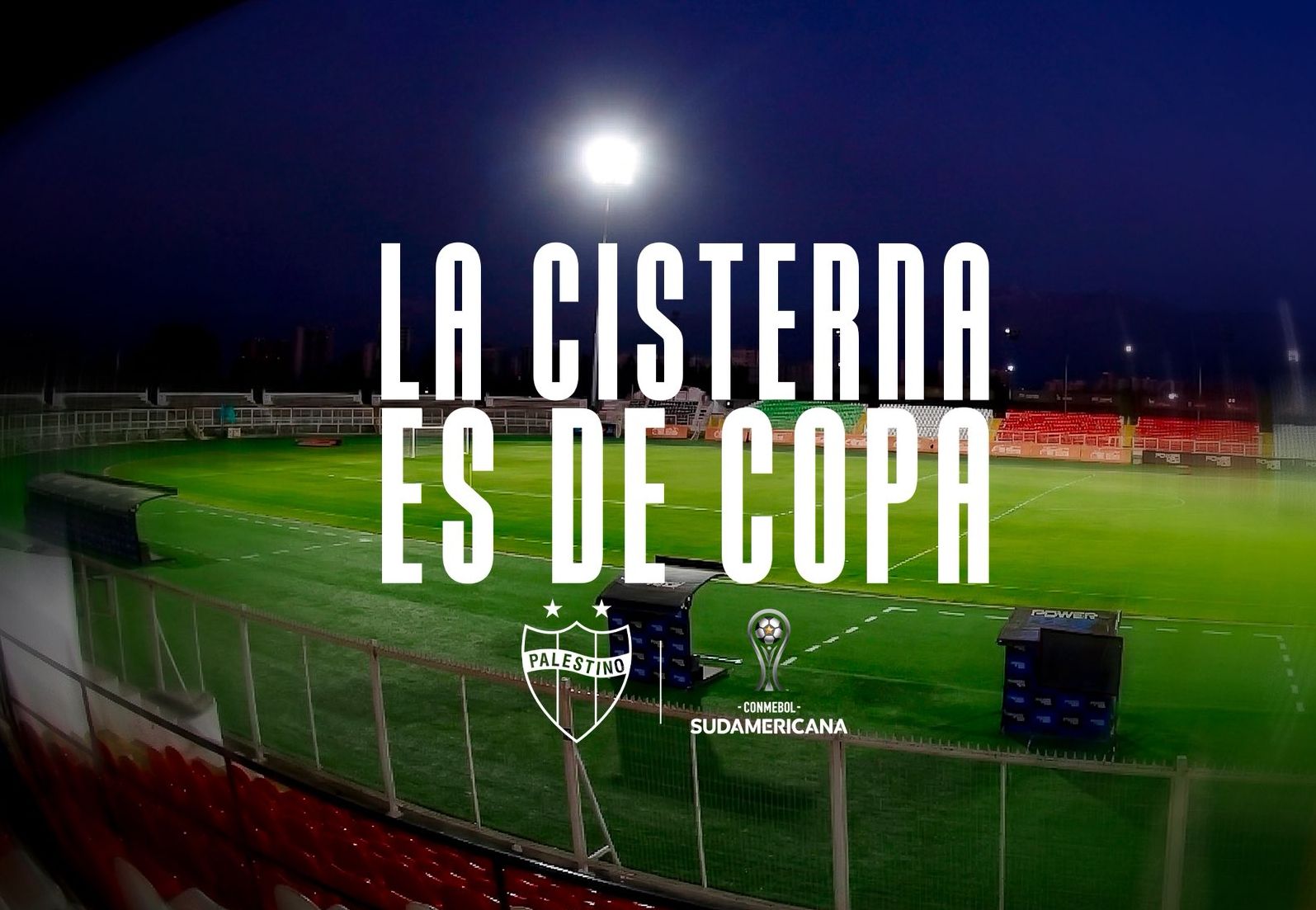 Palestino será local en el Estadio La Cisterna para Copa Sudamericana