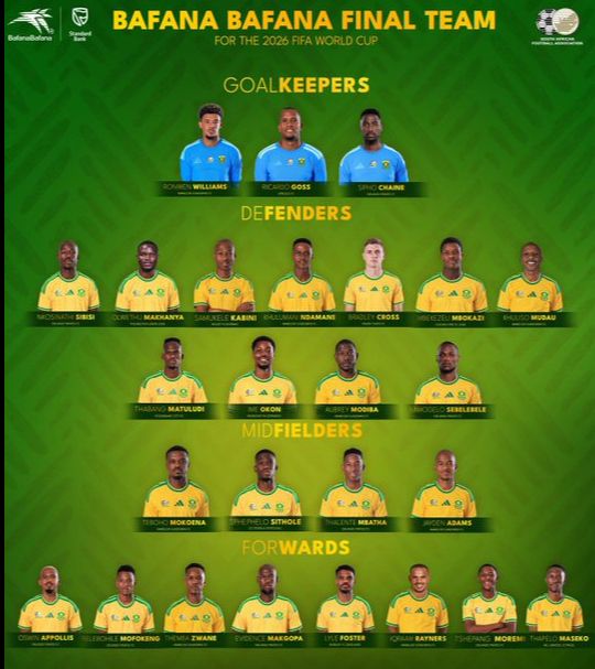 Sudáfrica en caos: 20 jugadores sin visa para el Mundial